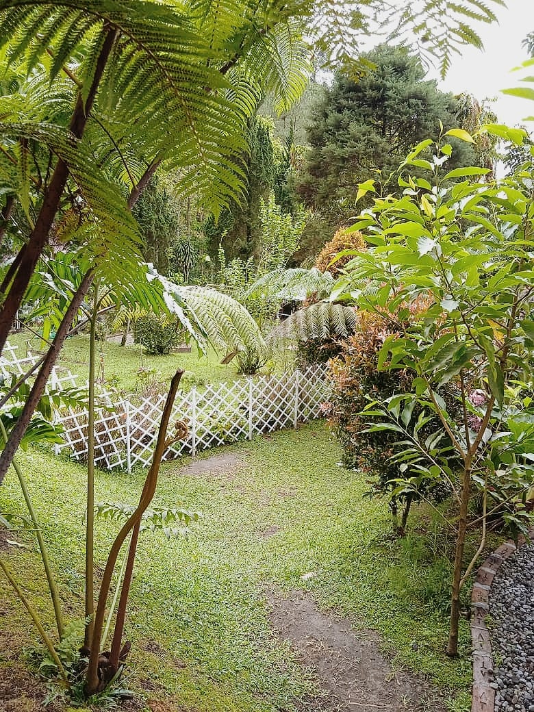 Mengenal Keju Rumahan Melalui Montkass, Keju Buatan Rumah Rasa Kaliurang Mengenal Keju Rumahan Melalui Montkass, Keju Buatan Rumah Rasa Kaliurang